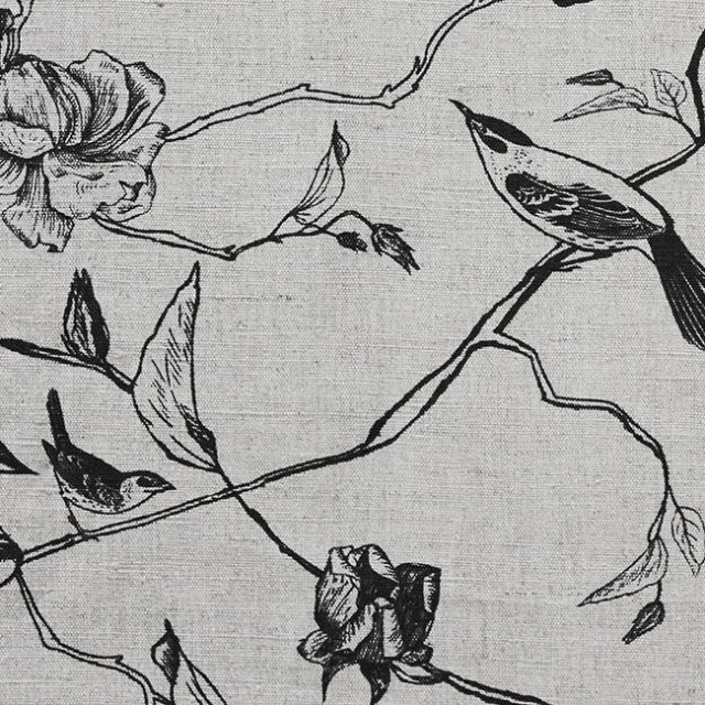 Gardenia Black - Black Botanical / bird pattern