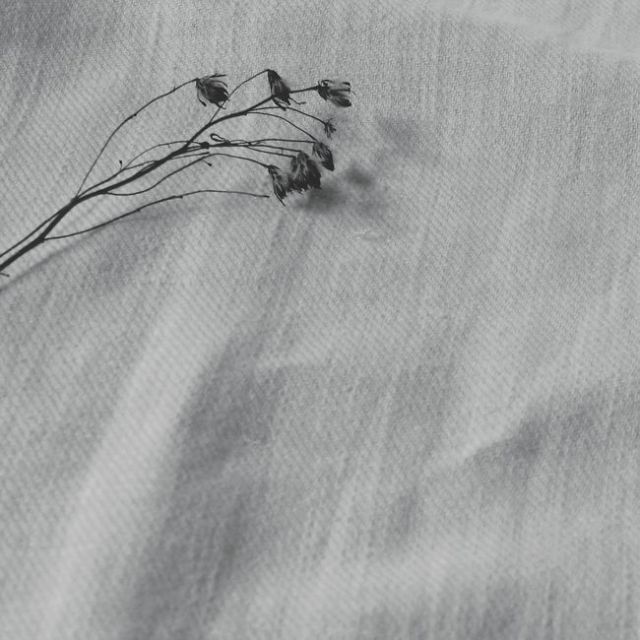 Enni Dove - Light Grey Linen Cotton fabric