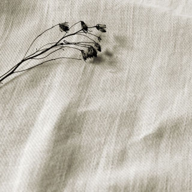 Enni Off-white - White Linen Cotton fabric