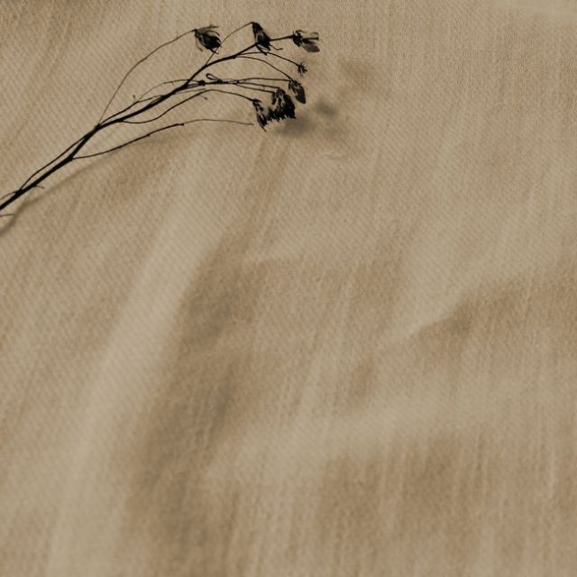 Enni Oyster - Cream colour Linen Cotton fabric