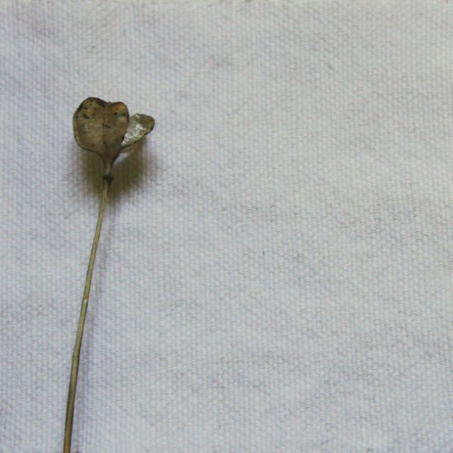 Ingrid Offwhite - White Cotton Jute upholstery fabric