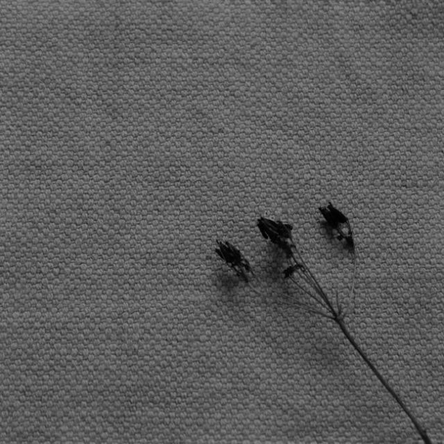 Mailis Lead Grey - Grey upholstery fabric