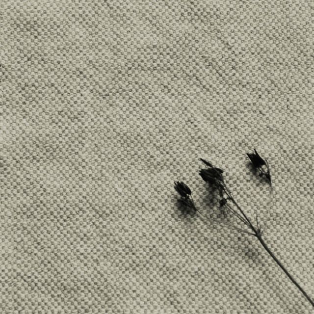 Mailis Natural - Natural upholstery fabric