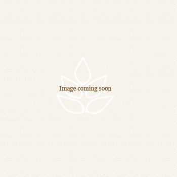 Lydia Mustard - Yellow striped fabric
