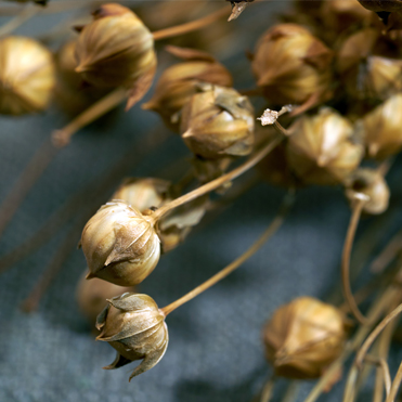 reasons to love linen fabric